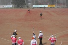Pesis on kesälaj. Kuva E. Laurila 